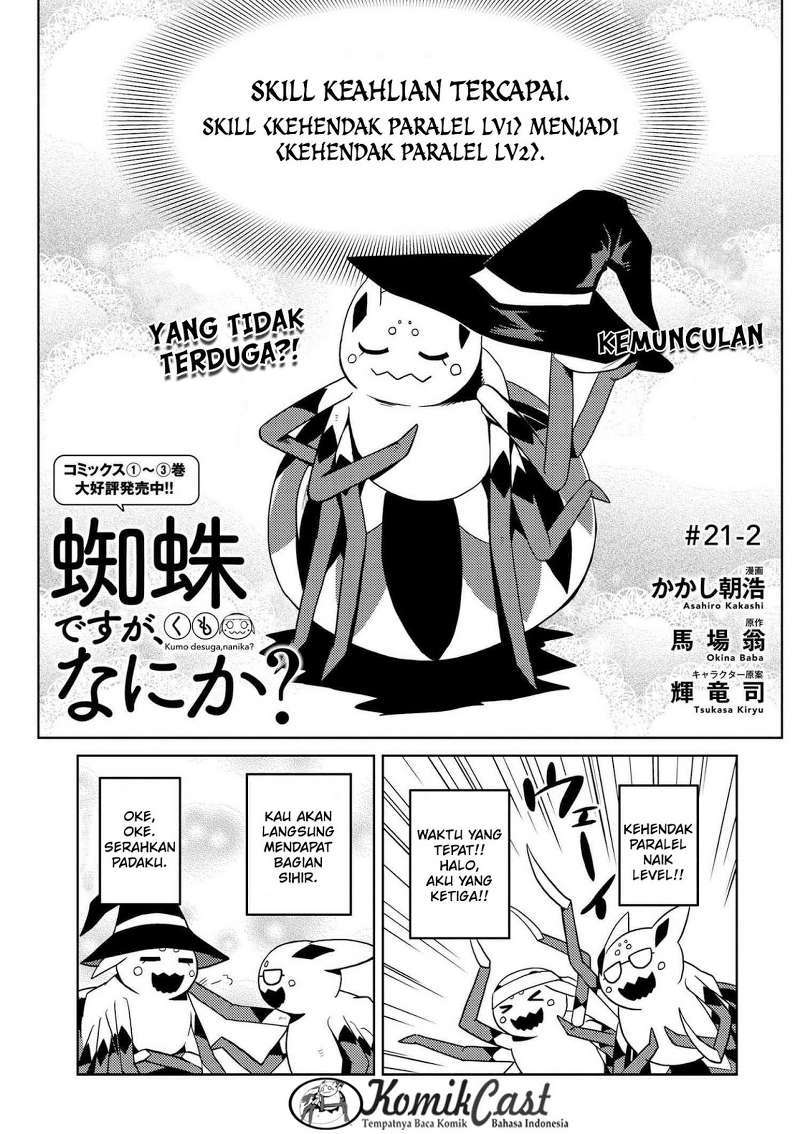 Kumo desu ga, Nani Ka?